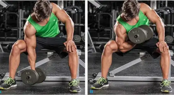 目标锻炼部位:锻炼肱二头肌,肱肌,肱挠肌