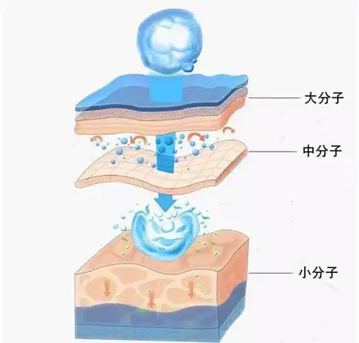 涂抹式玻尿酸,大分子玻尿酸与小分子玻尿酸有什么不同?