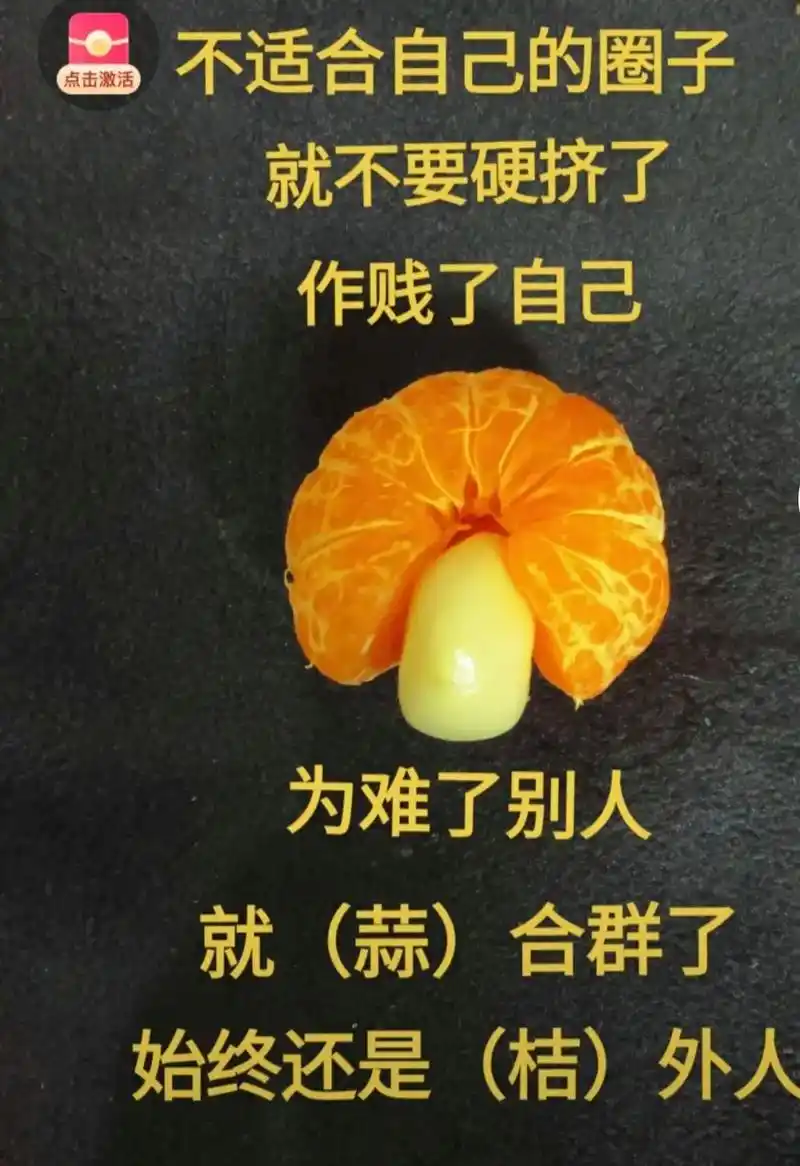 本来就不是一个圈子的人, 挤不进去的圈子就不要挤了, 为难了 - 抖音