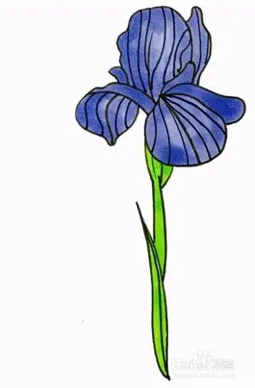 牵牛花简笔画图片大全牵牛花简笔画涂色牵牛花图片简笔画彩色各种花朵