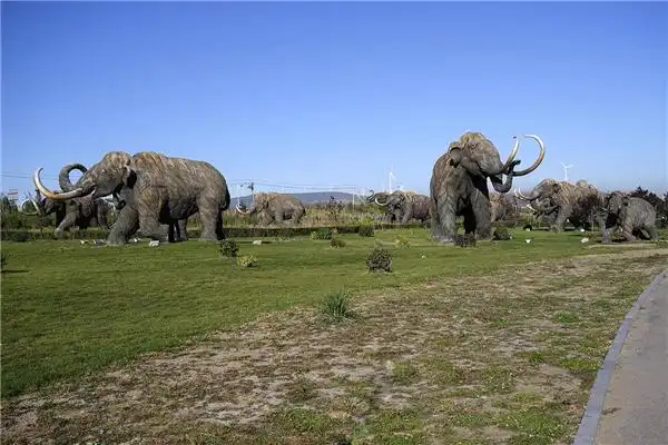 在西伯利亚的原住民发现过真猛犸象的遗骸,并且将它的象牙用来转卖给