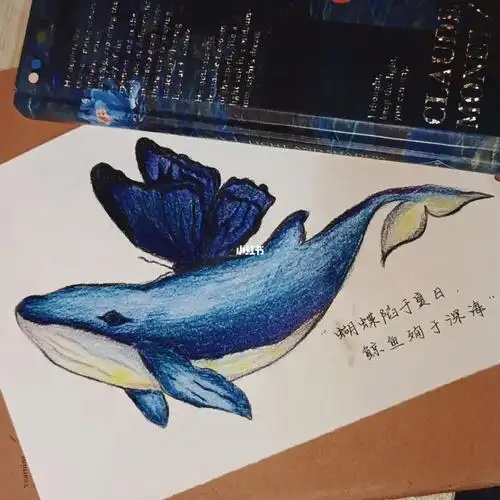 蝴蝶  #对你表白100次  #表白  #鲸鱼 #手绘 #彩铅插画  #彩铅手绘