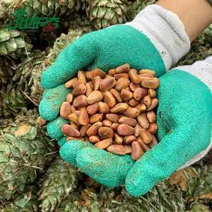 【手剥松鼠】手剥松鼠品牌,价格 - 阿里巴巴