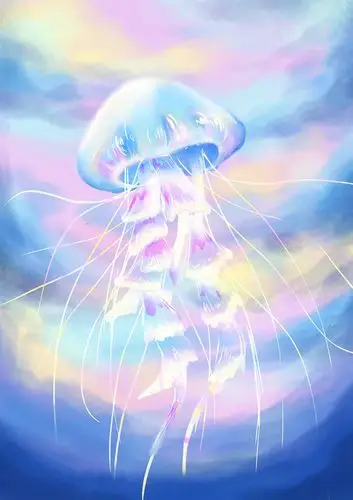 打算画个水母系列