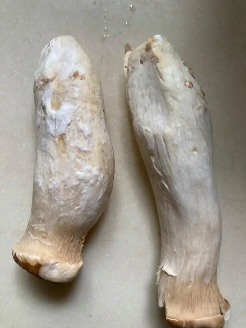 杏鲍菇涨白毛还能吃吗?