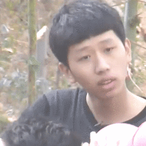 王境泽指人动图表情包_人动_王境泽指表情