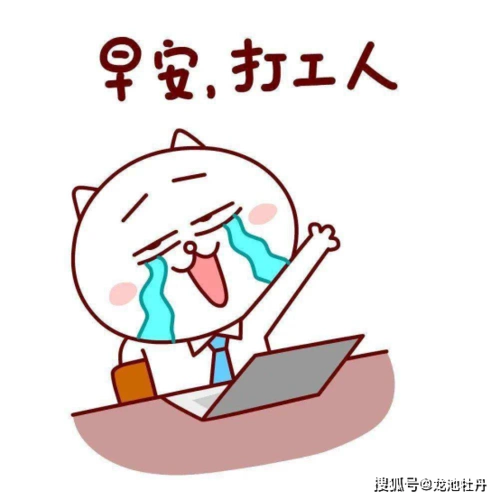 早安打工人龙池牡丹愿你在70岁时身体依旧挺拔如松