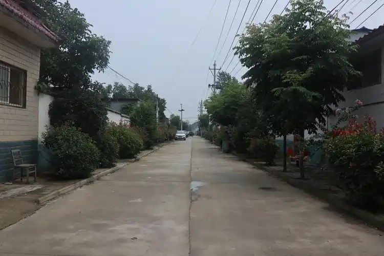 一个"贫困村"的蝶变之路——喜看西华县逍遥镇武乡村的新变化