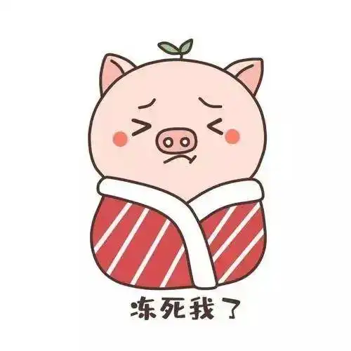 十年寒窗怎么没把你冻死表情包制作聊天图片表情