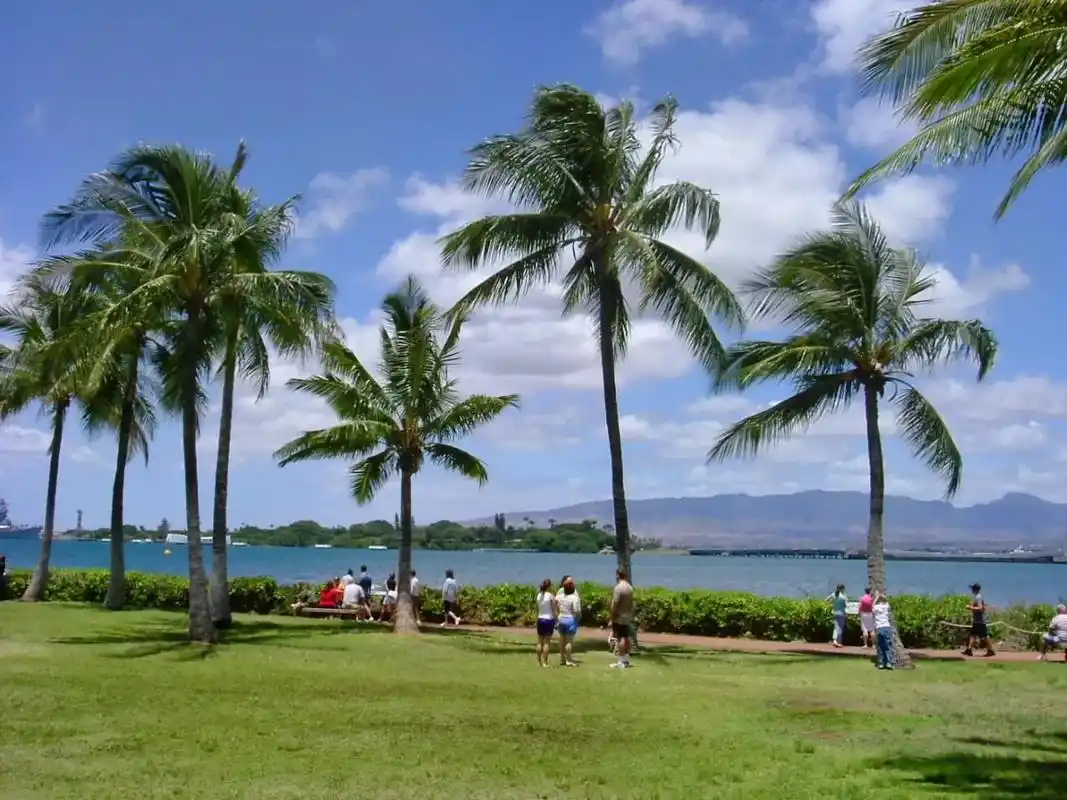 回应淘宝的视频夏威夷风光掠影