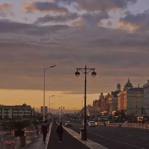 36条高级丧系文案过季的蔷薇又何尝不是背叛了花期去爱你080808