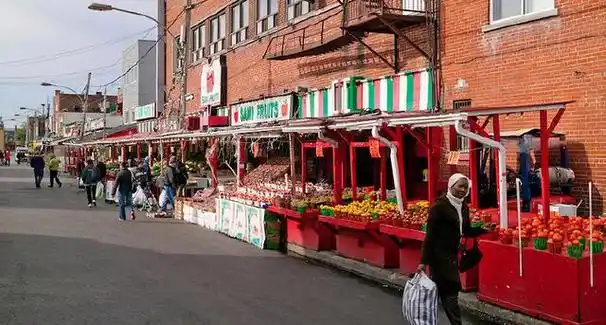 蒙特利尔的出行必备攻略:冬日里的别样风情