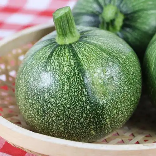 农家倭瓜鲜嫩可口适合做辅食长圆倭瓜随机发货1斤