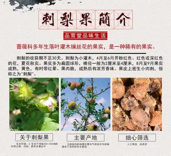 品茸堂刺莓果刺梨果刺酸梨子刺梨干果刺梨果干刺梨茶刺梨果刺梨果2斤