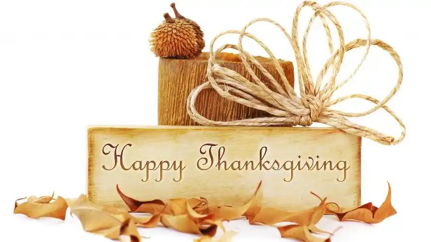 2020感恩节主题图片