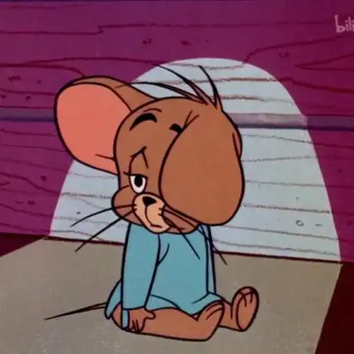 猫和老鼠头像表情包自截