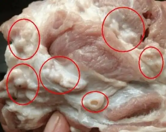 这个部位的猪肉,属于猪头和猪身连接的地方,是其淋巴最多的地方