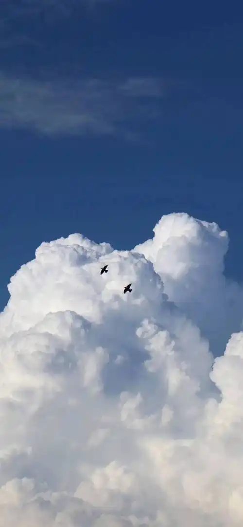 风景壁纸20240523