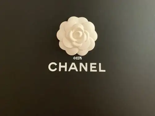 香奈儿山茶花