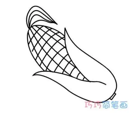 怎么画一根玉米棒 简笔画玉米的画法图片