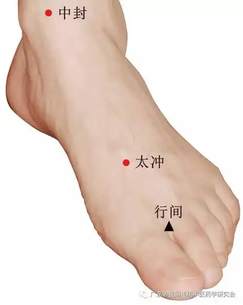 跌阳脉又称冲阳脉.在足背内庭穴直上五寸处,为足阳明胃经所出.