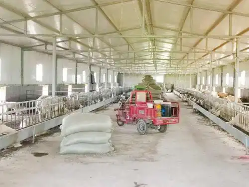 图中是永富合作社为村民建造的大棚,农户在大棚里养羊.