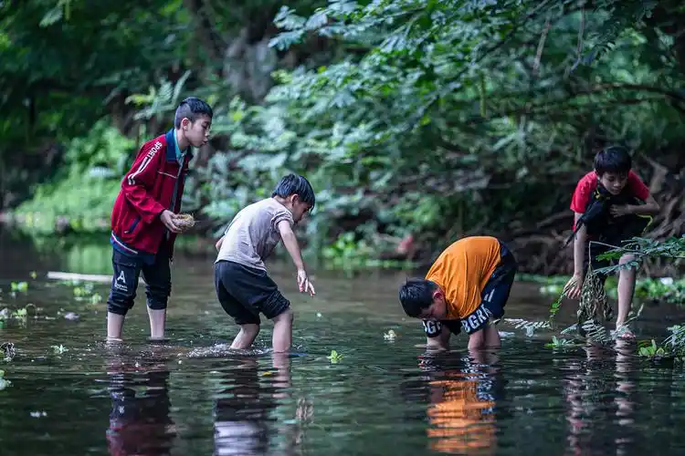 童年时光里最开心的莫过于和玩伴们一起戏水捉鱼摸田螺要是能回到从前
