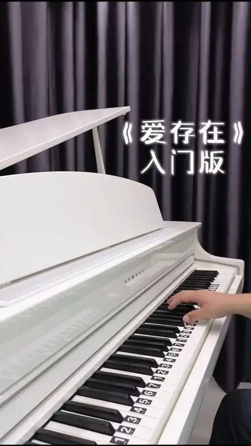 《爱存在》入门钢琴双手简谱教学