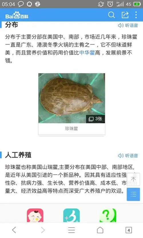 请问这是什么品钟jiau这是中国山瑞鳖还是美国珍珠鳖?