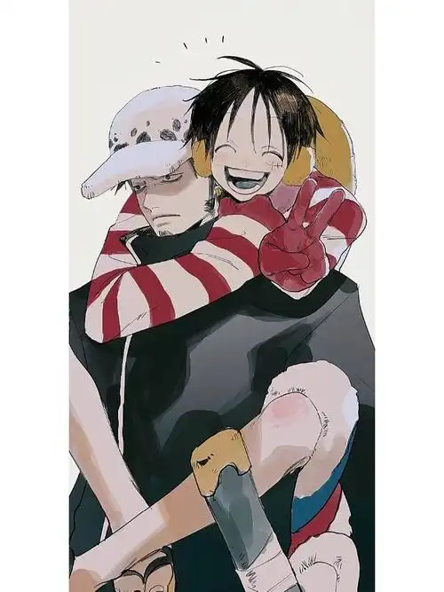 每次看罗和路飞就很开心