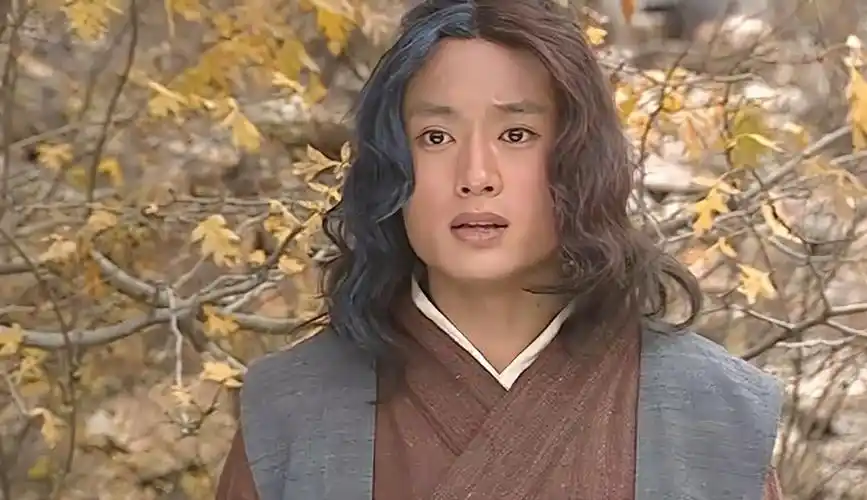 6谢烟客抢走黑白双剑嫁祸闵柔石中玉化名石破天成为长乐帮帮主