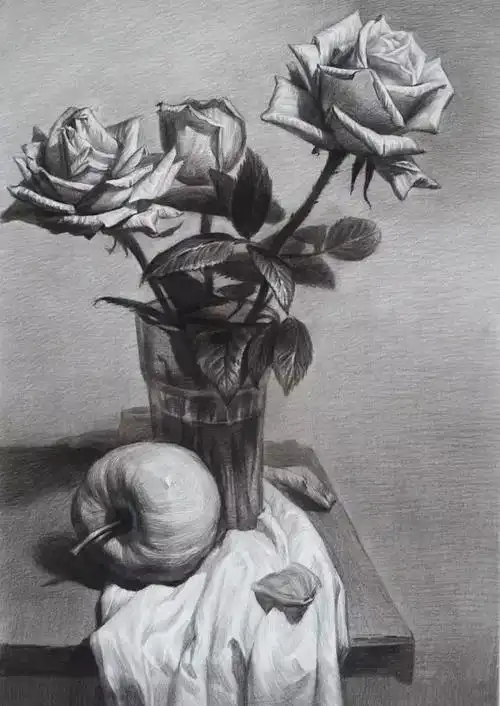 素描花卉如果出现在艺考中要怎么画