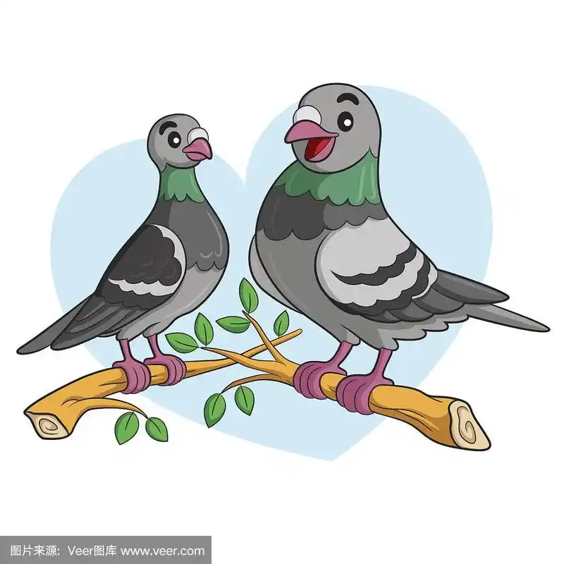 鸽子卡通