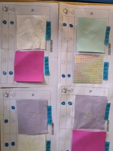 中(5)班主题活动——走进纸王国