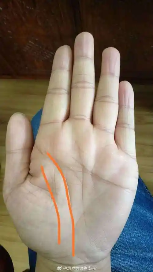 双生命线,就是手掌有两条并行的生命线,有.