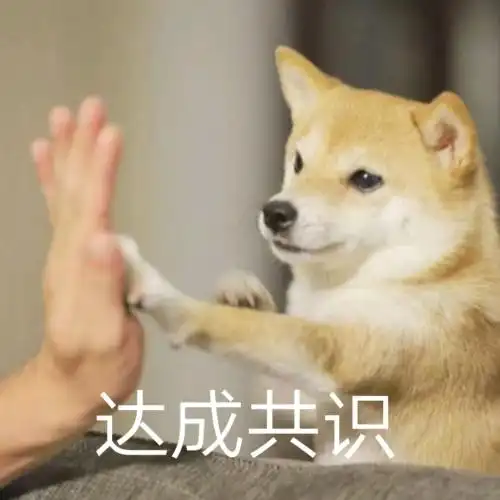 萌宠柴犬达成共识击掌好的收到gif动图_动态图_表情包下载_soogif