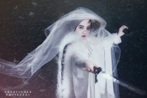 刘亦菲 风雪夜归人