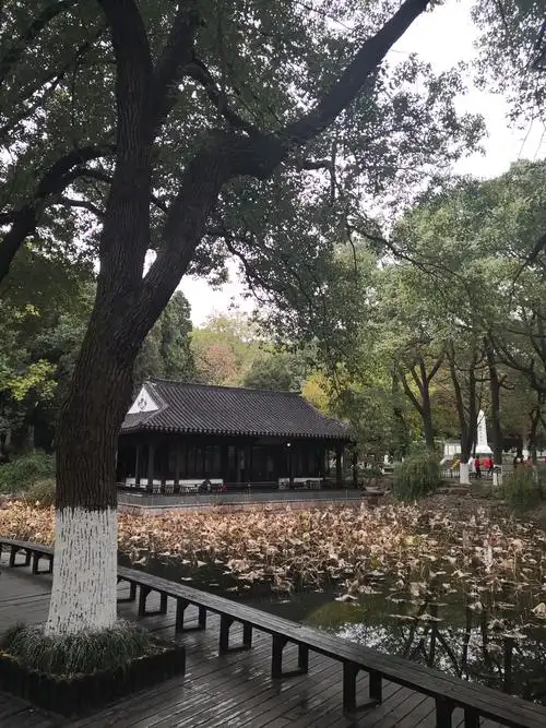 江阴中山公园掠影,(20201121)