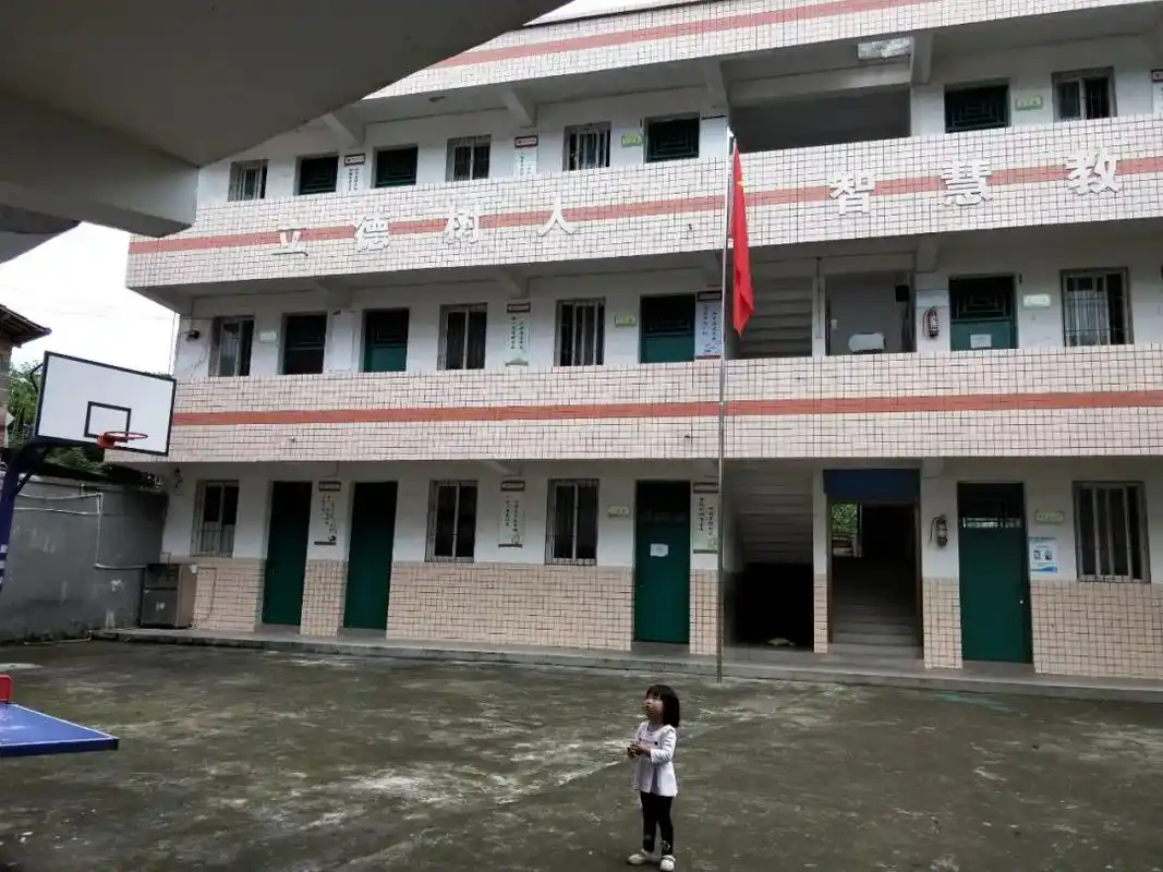 别再埋头捐希望小学,不解决农村教育真正的痛点,会有越来越多的村小遭