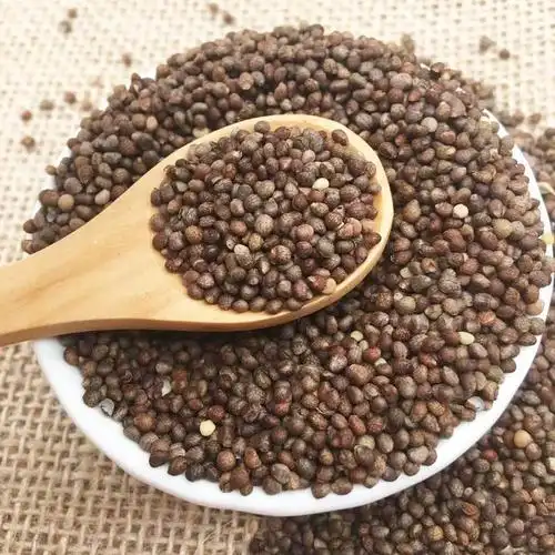 东北生紫苏籽新货紫苏子熟苏子粒烧烤烤肉月饼馅调料白芥子莱菔子