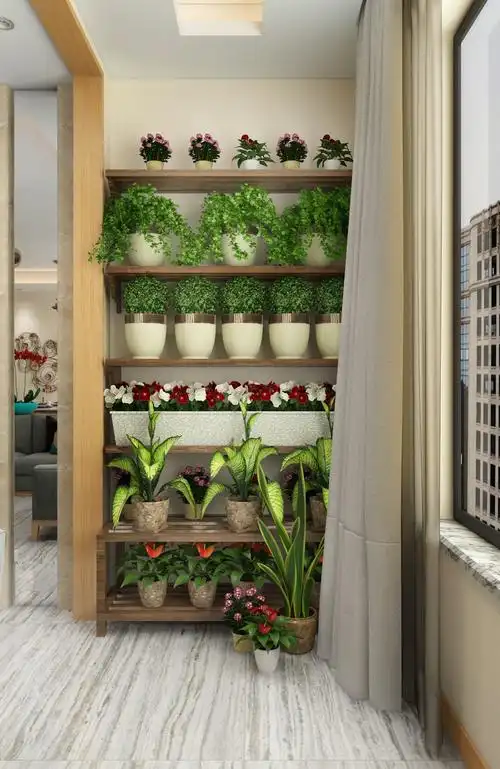 室内阳台绿植布置摆放图