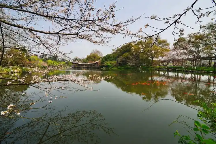 杭州西湖十景之一苏堤春晓