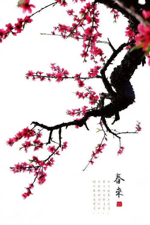 一树繁英夺眼红桃花依旧笑春风