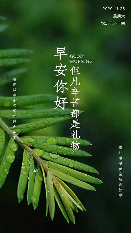 带今天日期的早安日签