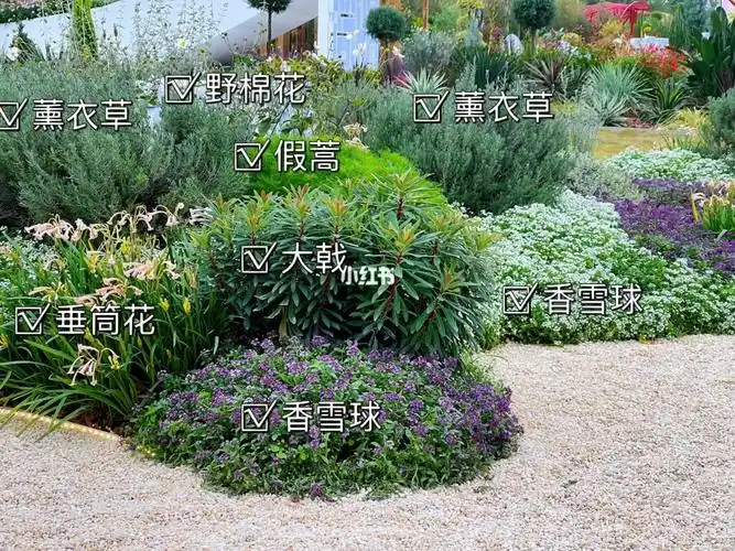 银色系花境配置