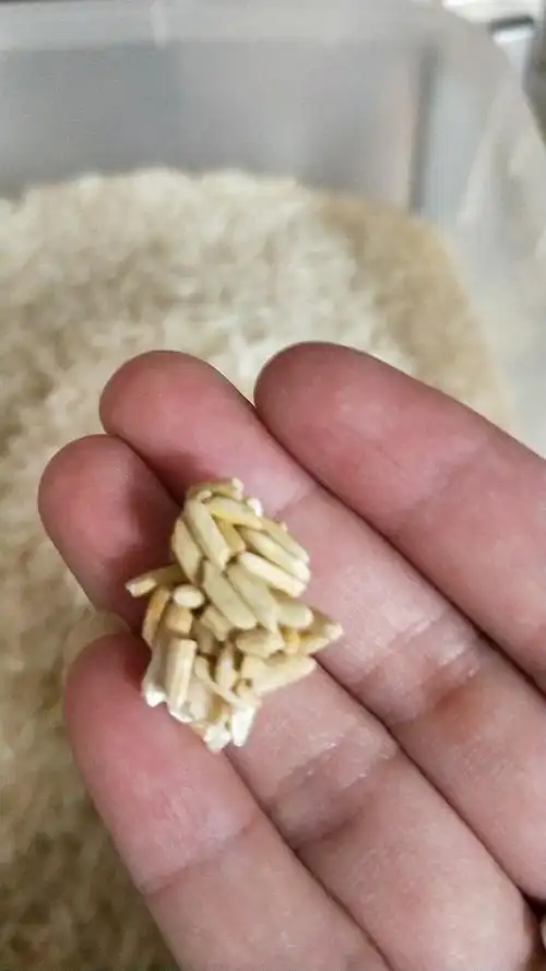 第一次在超市买到发霉的大米