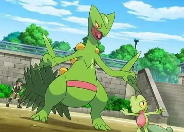 神奇宝贝当萌萌的草系御三家宝可梦进化之后你们还会喜欢吗