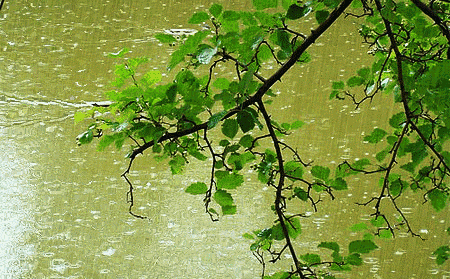 微风细雨的唯美短句微风细雨伤感的文案