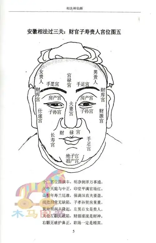 全套4册钦定麻衣相法 看面相辨富贵 安徽相法铁关刀 相法神仙断白话全