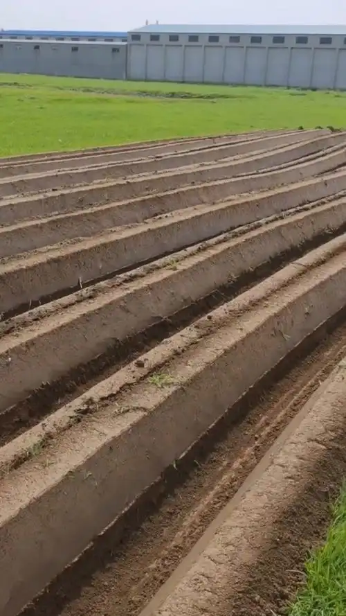 微耕机草莓开沟起垄作业